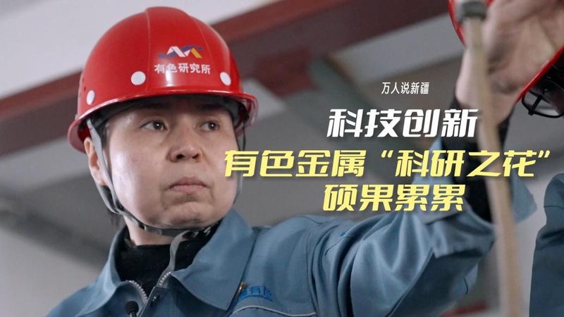 系统集成项目经理职业发展路径：从技术骨干到项目管理高手